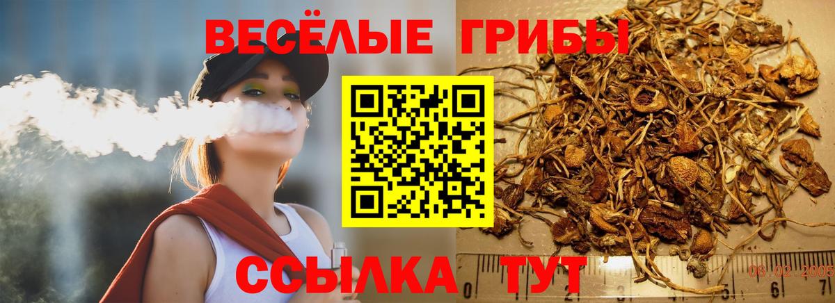 Псилоцибиновые грибы Magic Shrooms Дубна